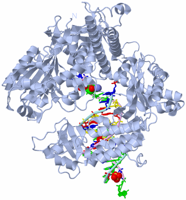 Image Biol. Unit 1 - sites