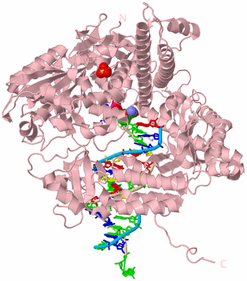 Image Biological Unit 2