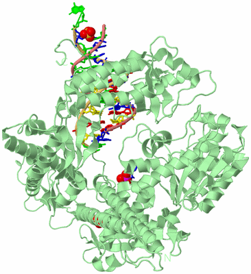 Image Biological Unit 3