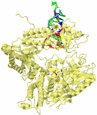 Image Biological Unit 4