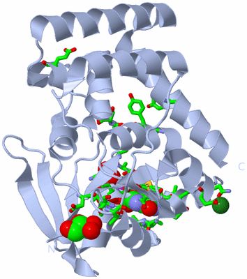 Image Biol. Unit 1 - sites