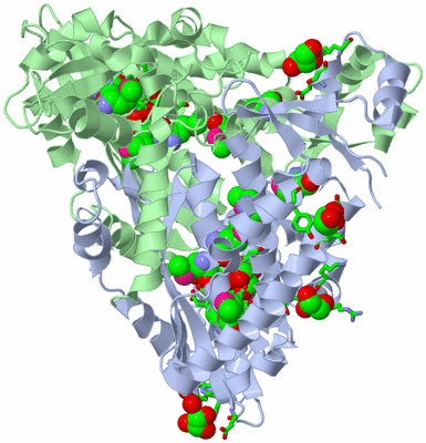 Image Asym./Biol. Unit - sites