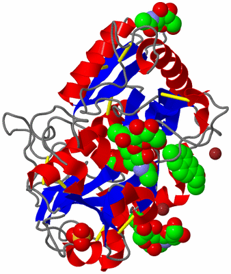 Image Asym./Biol. Unit