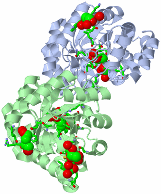 Image Asym./Biol. Unit - sites