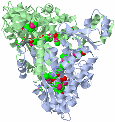 Image Asym./Biol. Unit - sites