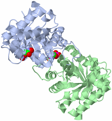 Image Asym./Biol. Unit