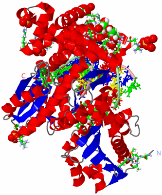 Image Asym./Biol. Unit - sites