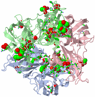 Image Asym./Biol. Unit - sites