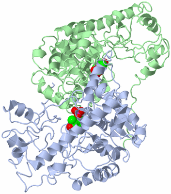 Image Biological Unit 1