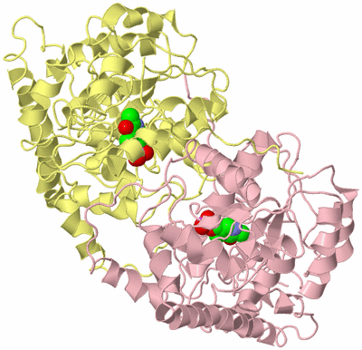 Image Biological Unit 2