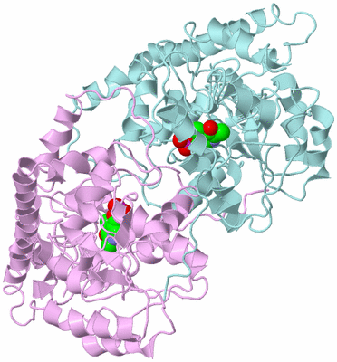 Image Biological Unit 3