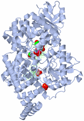 Image Biological Unit 2