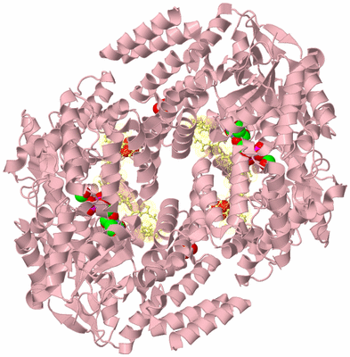 Image Biological Unit 3