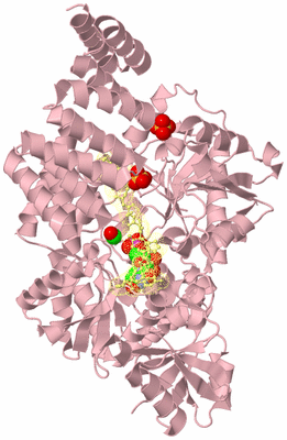 Image Biological Unit 4