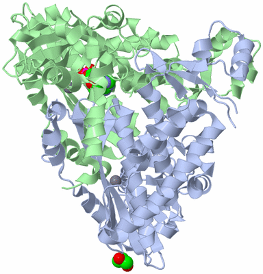 Image Asym./Biol. Unit