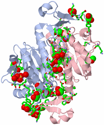 Image Biol. Unit 1 - sites