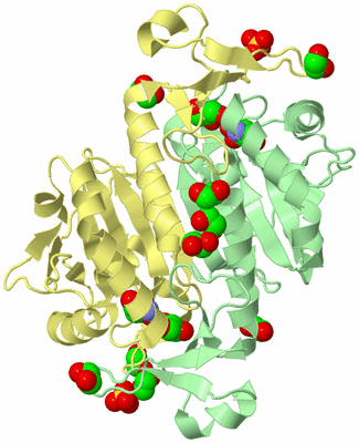 Image Biological Unit 2