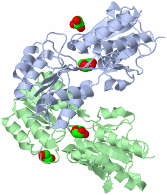 Image Asym./Biol. Unit