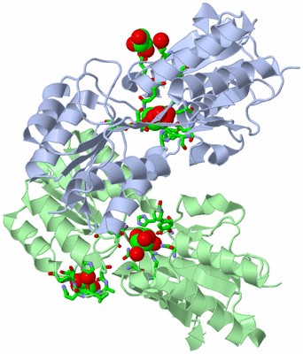 Image Asym./Biol. Unit - sites