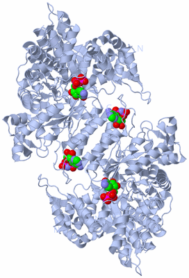 Image Biological Unit 1