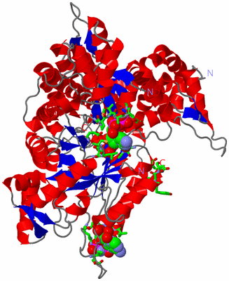 Image Asym. Unit - sites