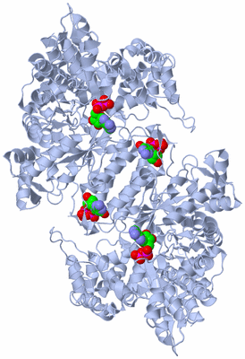 Image Biological Unit 1