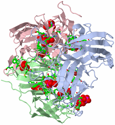 Image Biol. Unit 1 - sites