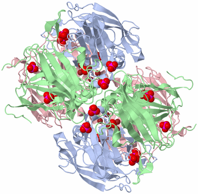 Image Biological Unit 2