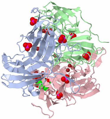 Image Biological Unit 1