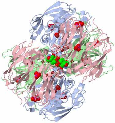 Image Biological Unit 2