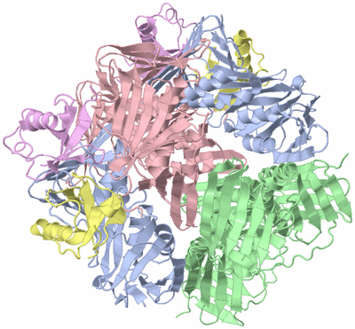 Image Biological Unit 2