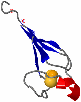 Image Asymmetric Unit