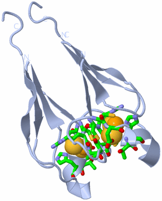 Image Biol. Unit 1 - sites