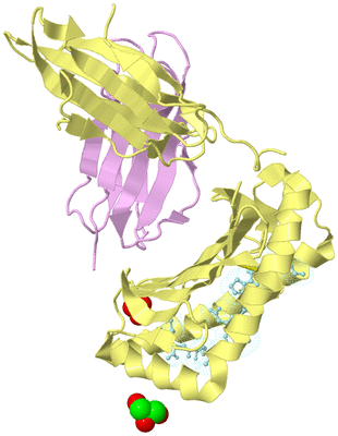 Image Biological Unit 2