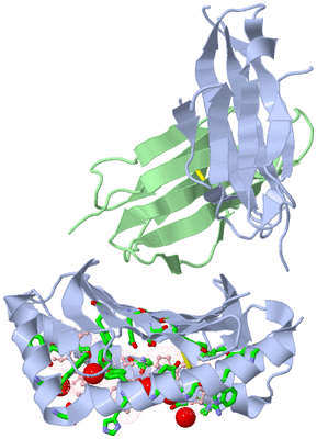 Image Biol. Unit 1 - sites