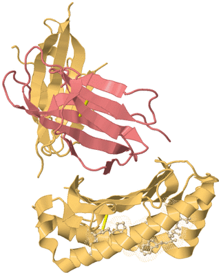 Image Biological Unit 3