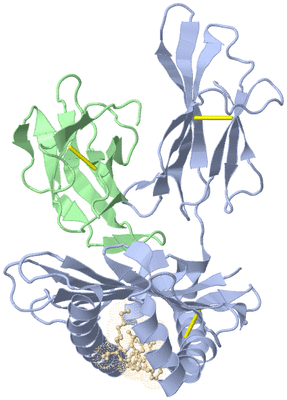 Image Biological Unit 1