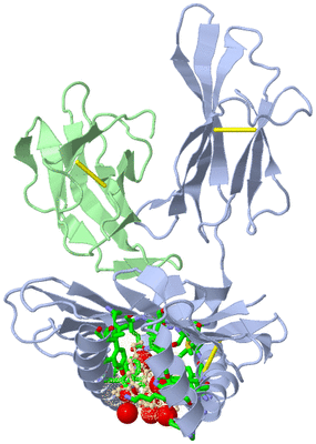 Image Biol. Unit 1 - sites