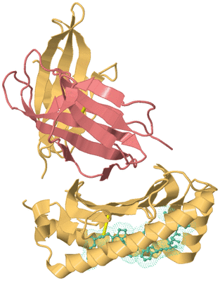 Image Biological Unit 4