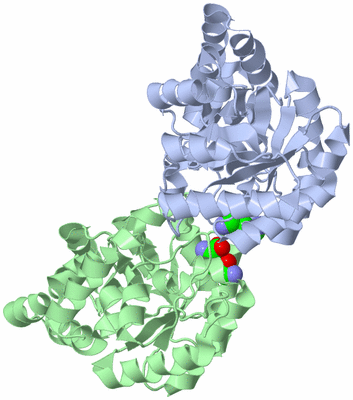 Image Asym./Biol. Unit