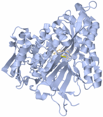 Image Biological Unit 1