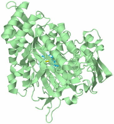 Image Biological Unit 2