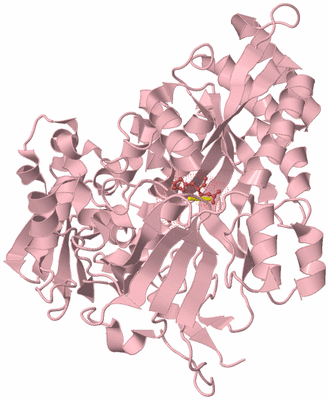 Image Biological Unit 3