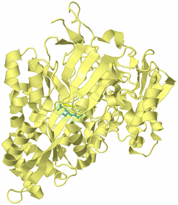 Image Biological Unit 4