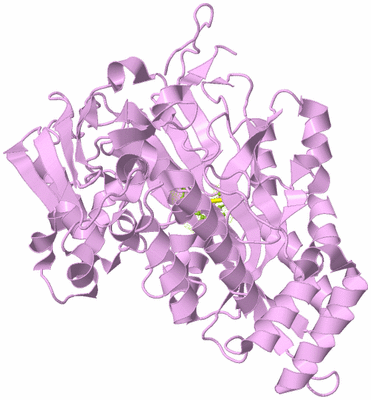 Image Biological Unit 5