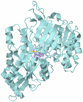 Image Biological Unit 6