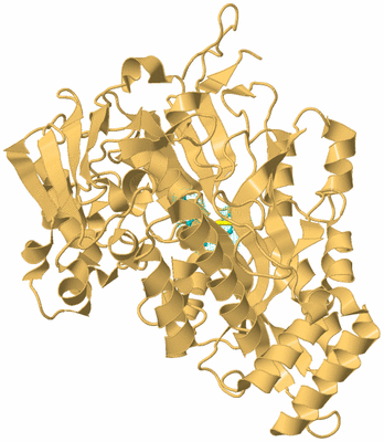 Image Biological Unit 7