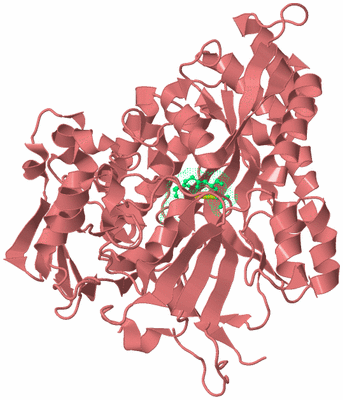 Image Biological Unit 8