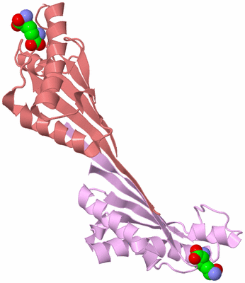 Image Biological Unit 3