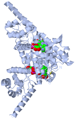 Image Biological Unit 1